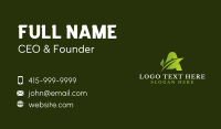 Natural Leaf Organic Business Card