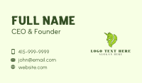 Green Leaf Unicorn Business Card Design