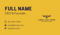 Eagle Wings Pilot Academy Business Card