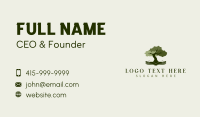 Tree Education Book  Business Card