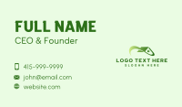 House Roofing Wave Business Card
