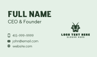 Demon Horns Reptile Gaming Business Card