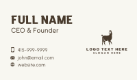 Animal Zoo Llama Business Card