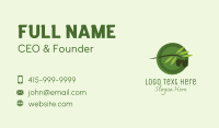 Olive Branch Fruit Business Card