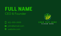 Lawn Grass Landscape Business Card Design