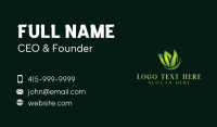 Leaf Lawn Landscaping Business Card Design