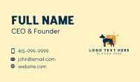 Dog Square Veterinary Business Card Design