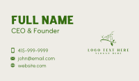 Insect Ant Leaf Business Card