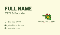 Oklahoma Mistletoe Plant Business Card