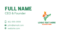 Tropical India Business Card