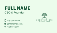 Book Tree Library Business Card Design