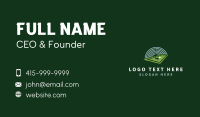 Mini Golf Tournament Business Card Design