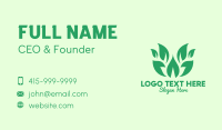 Green Organic Leaves Business Card Design