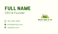 Residential Lawn Mower Business Card