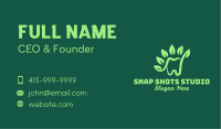 Green Natural Tooth Business Card