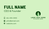 Pine Forest Nature  Business Card