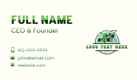 Cutting Business Card example 4