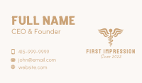 Medical Caduceus Pharmacy Business Card Image Preview