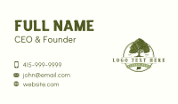 Connecticut White Oak Tree Business Card