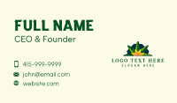 Cannabis Leaf Sunset Business Card Design