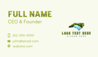 North Carolina Nature River  Business Card Design