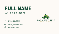 Money Cash Finance Business Card