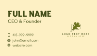 Oak Leaf Connecticut  Business Card Design