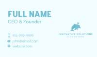 Dolphin Animal Aquatic Waterpark  Business Card