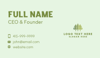 Pine Tree Patch Business Card Design