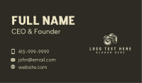 Lens Business Card example 2
