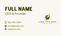 Feather Writer Author Business Card