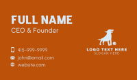 Pet Dog Veterinary Business Card