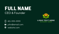 Eco Solar Energy Business Card