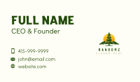 Pine Tree Mountain Business Card