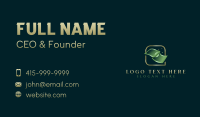 Cash Bill Dollar Business Card