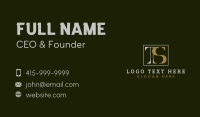 Classy Letter T & S Business Card Design