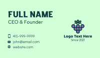 Organic Grapes Fruit  Business Card