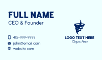 Storm Business Card example 2