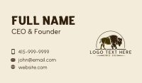 Bison Rodeo Ranch Business Card Design