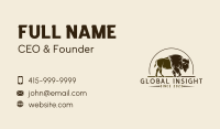 Bison Rodeo Ranch Business Card