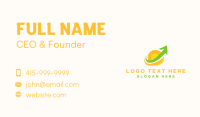 Bills Business Card example 4